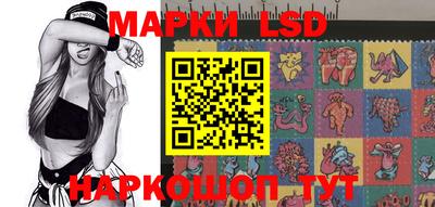 сатива Кинель