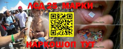 сатива Кинель