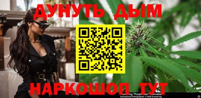 сатива Кинель
