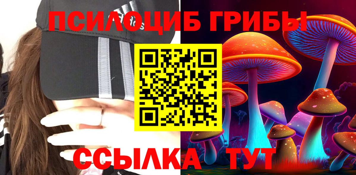 Псилоцибиновые грибы мухоморы  Вход с VPN  Ковров 