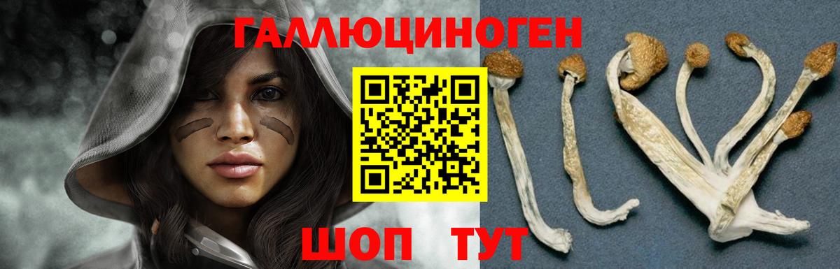 Галлюциногенные грибы мицелий Ковров