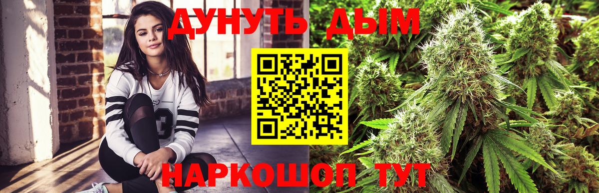 Каннабис ГИДРОПОН  Вход с VPN  Ковров  Канабис планчик  Шишки марихуана MAZAR  Канабис Bruce Banner 